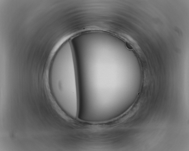 X0000113300796200909140944