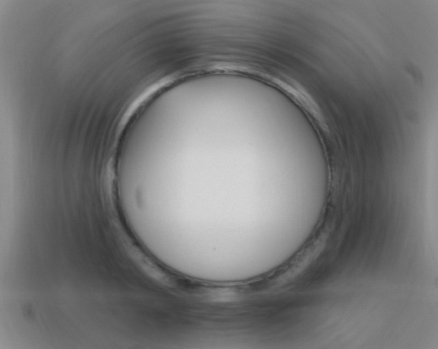 X0000113300798200909140944