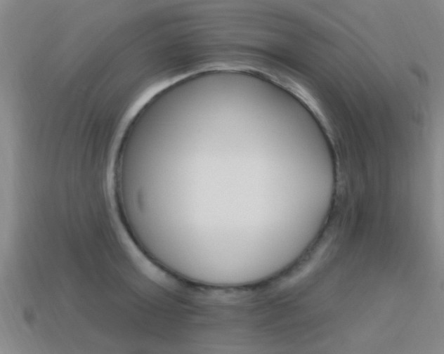 X0000113300803200909140944