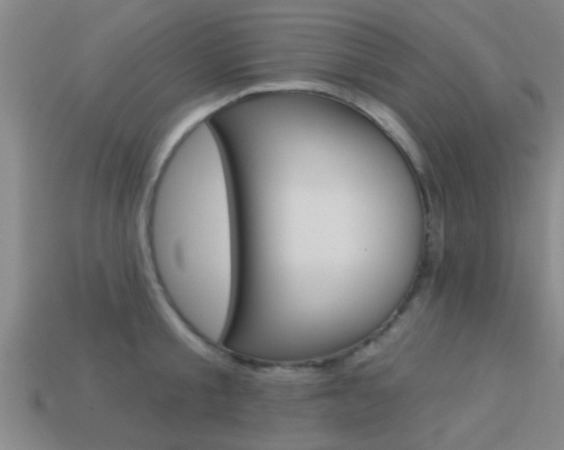 X0000113300805200909140944