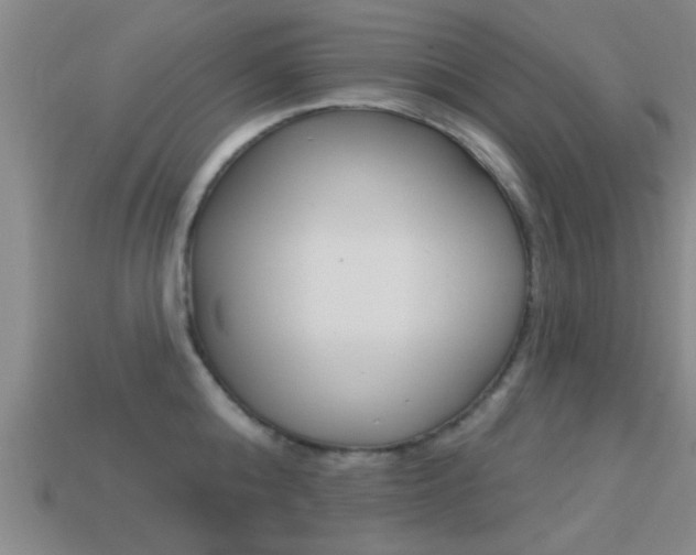 X0000113300808200909140944