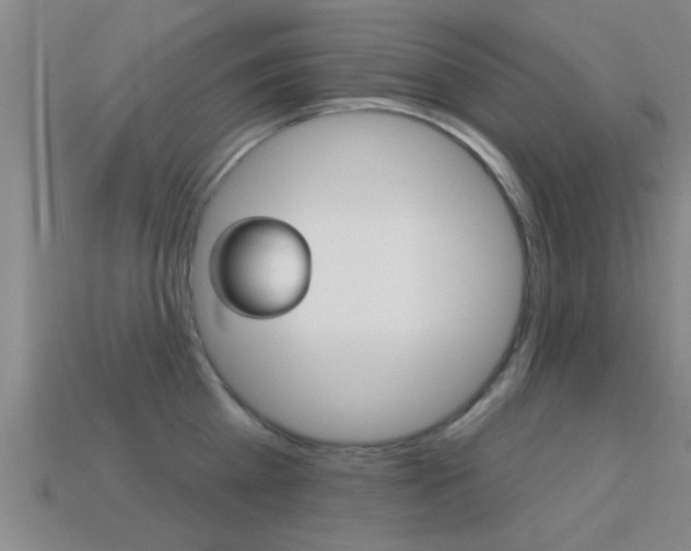 X0000113300809200909140944