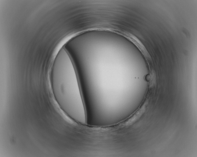 X0000113300812200909140944