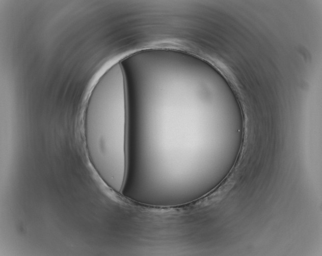 X0000113300816200909140944