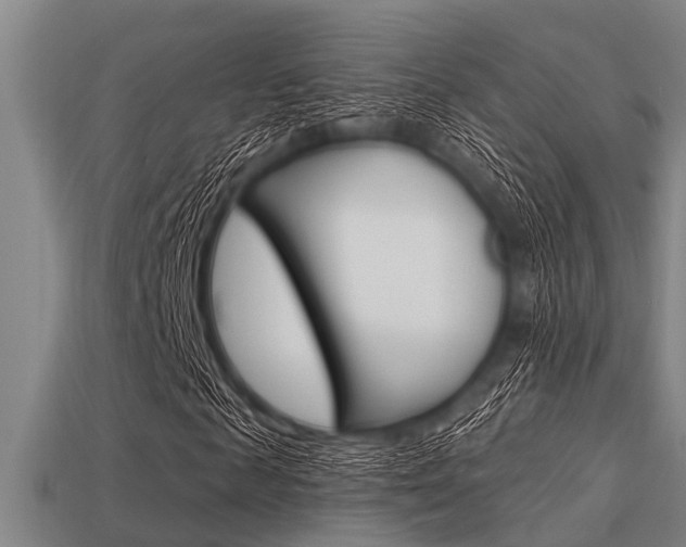 X0000113300817200909140943
