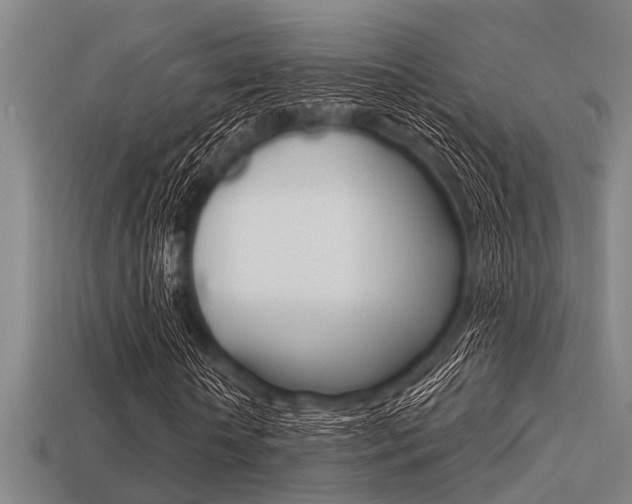 X0000113300818200909140943