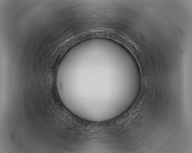 X0000113300821200909140943