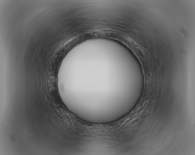 X0000113300822200909140943