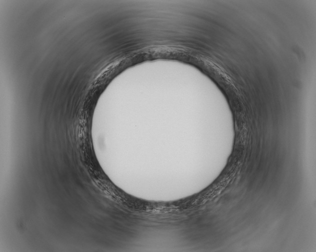 X0000113300824200909140943