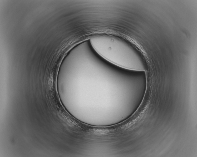 X0000113300825200909140943