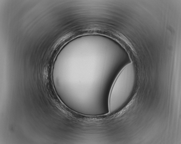 X0000113300826200909140943