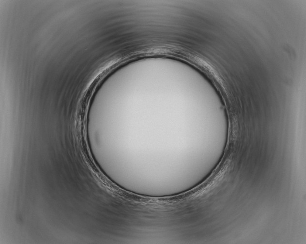 X0000113300827200909140943