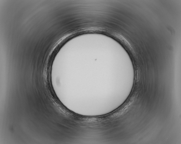 X0000113300828200909140943