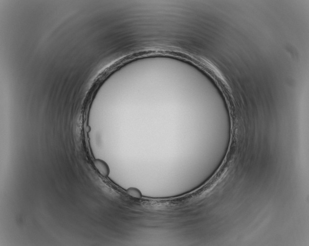 X0000113300831200909140943