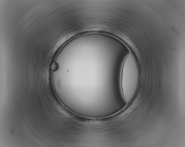 X0000113300834200909140944