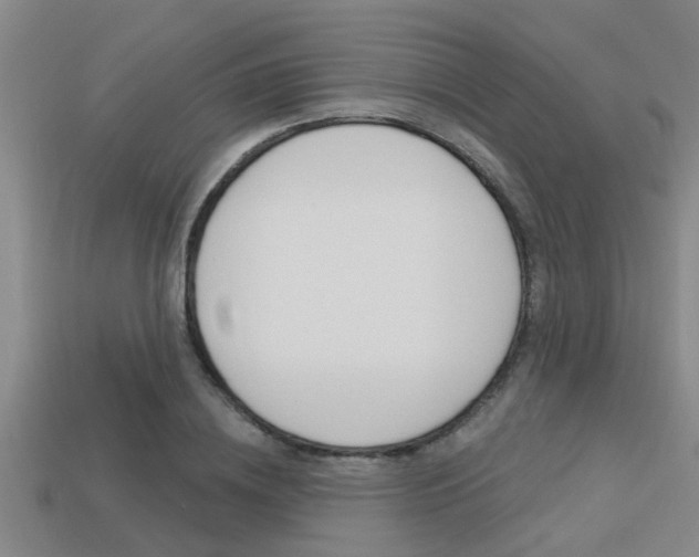 X0000113300836200909140944