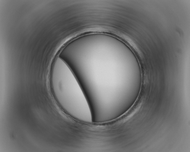 X0000113300837200909140944