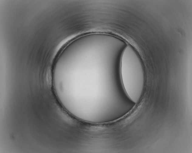 X0000113300838200909140944