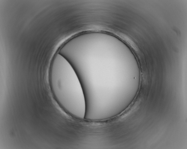 X0000113300839200909140944