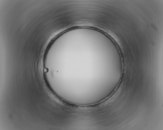 X0000113300840200909140944