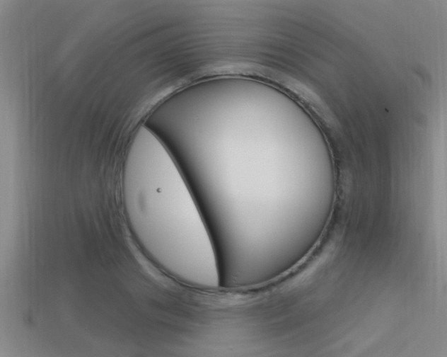 X0000113300841200909140944