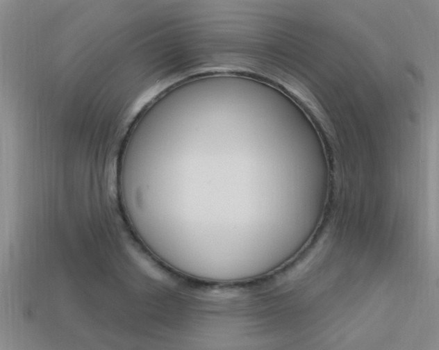 X0000113300842200909140944