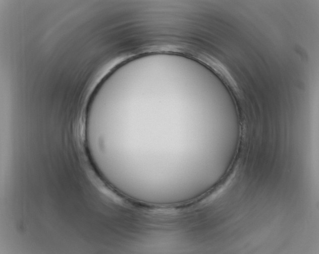 X0000113300844200909140944