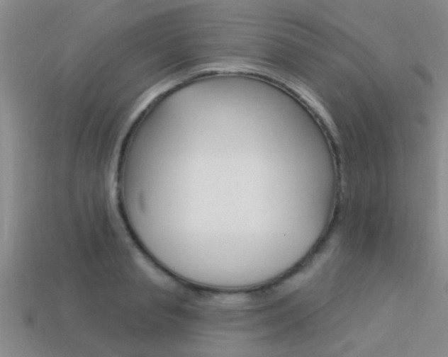 X0000113300845200909140944