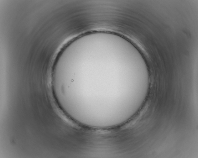X0000113300848200909140944