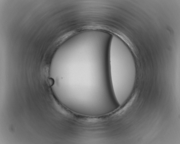 X0000113300849200909140944
