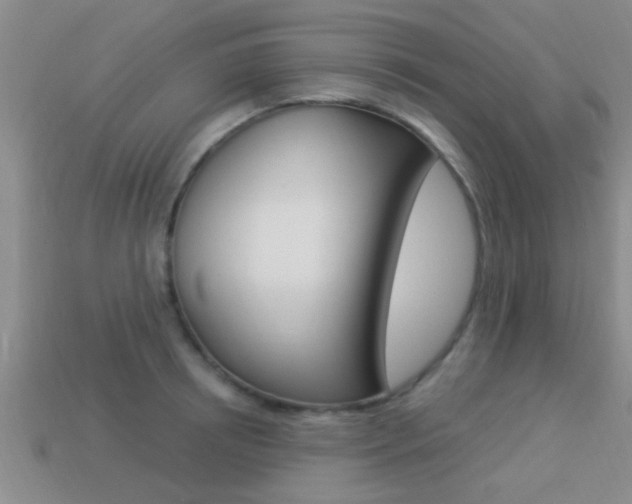 X0000113300850200909140944