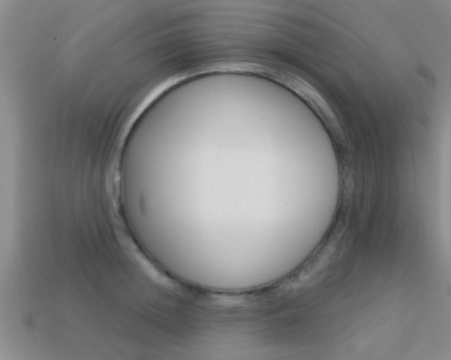 X0000113300852200909140944