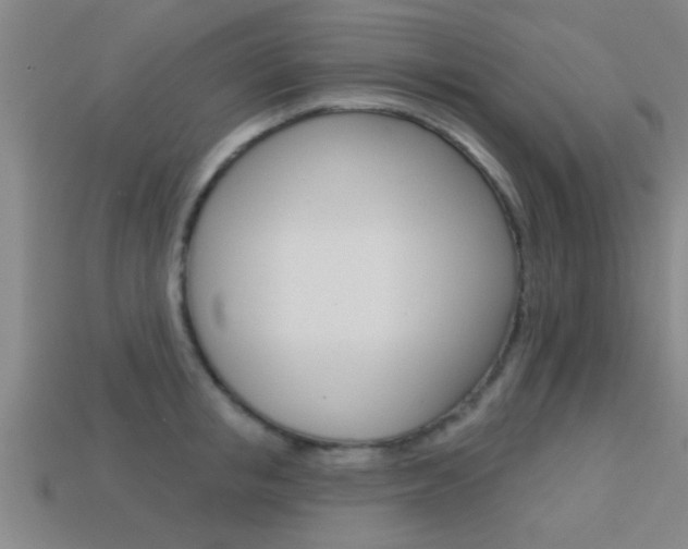 X0000113300853200909140944