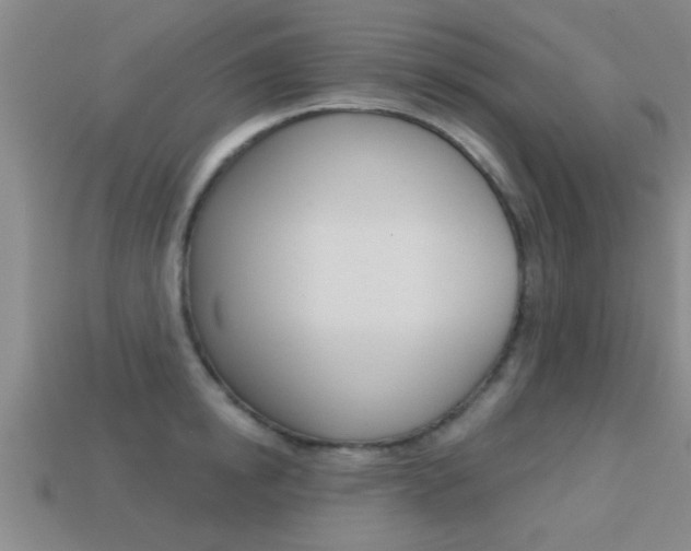 X0000113300854200909140944