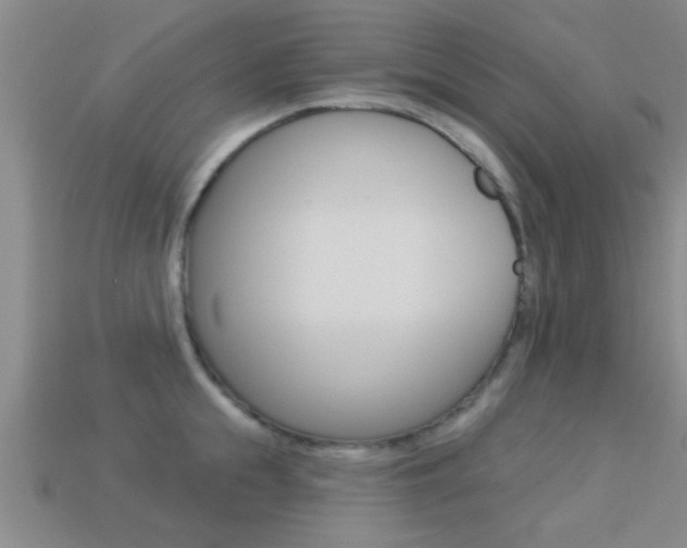 X0000113300855200909140944
