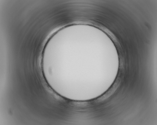 X0000113300856200909140944