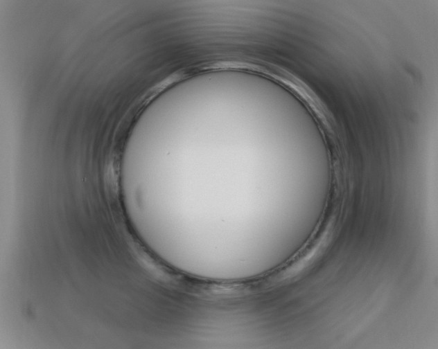 X0000113300857200909140944