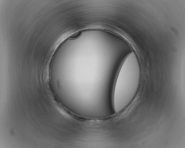 X0000113300858200909140944