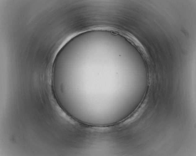 X0000113300860200909140944