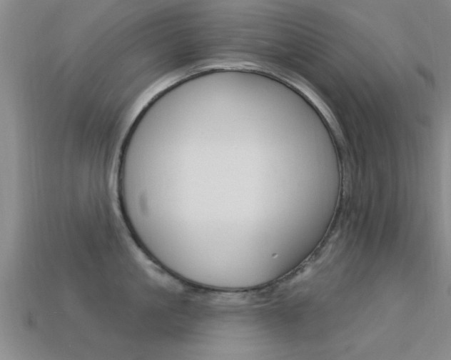 X0000113300861200909140944