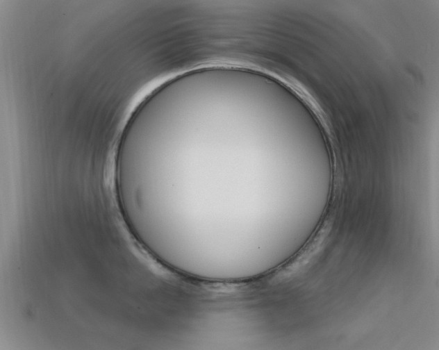 X0000113300862200909140944