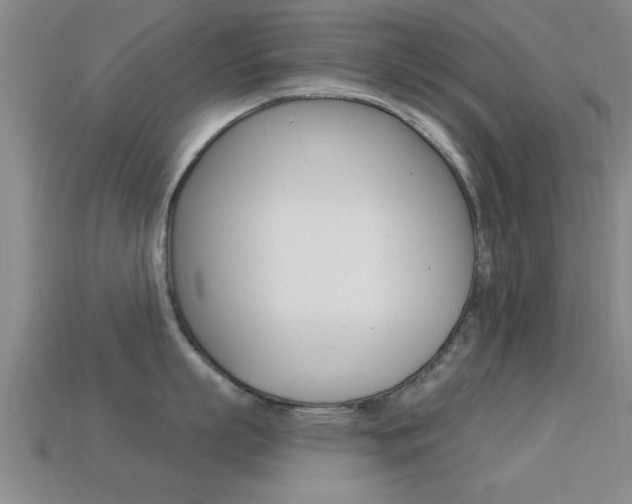 X0000113300863200909140944