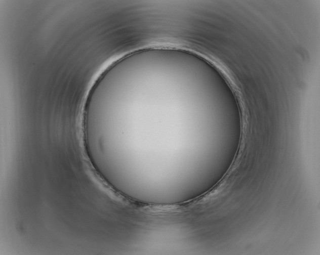X0000113300864200909140944