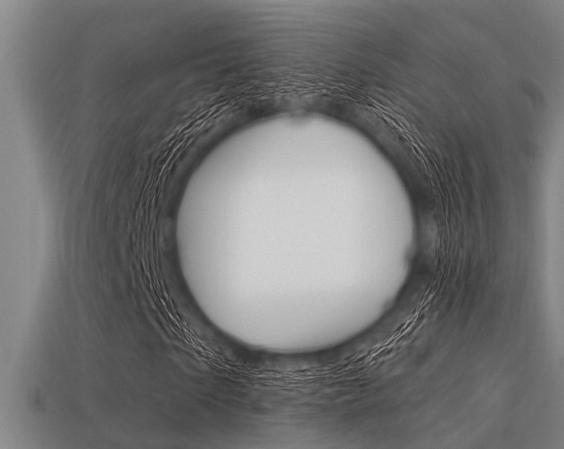 X0000113300865200909140943