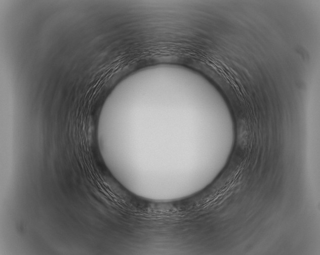 X0000113300866200909140943