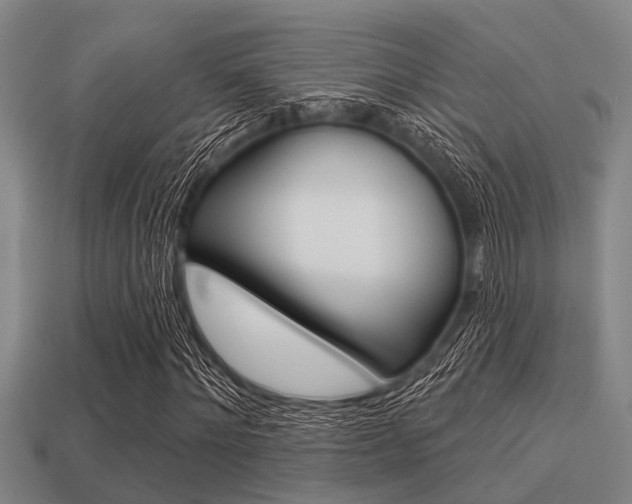 X0000113300868200909140943