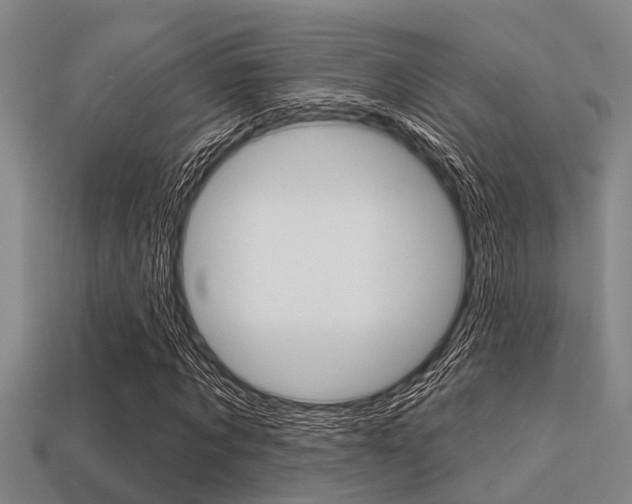 X0000113300869200909140943