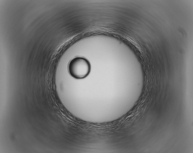 X0000113300872200909140943