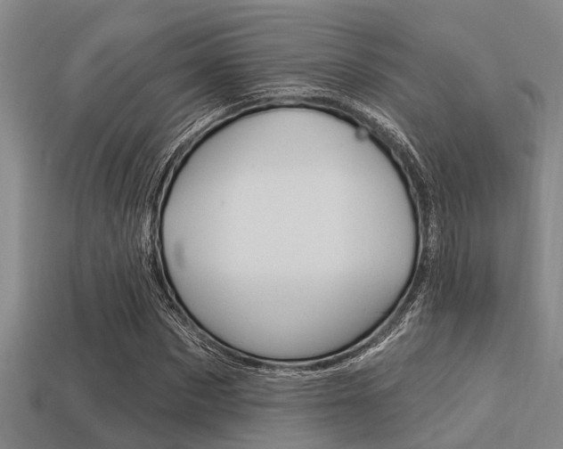 X0000113300873200909140943