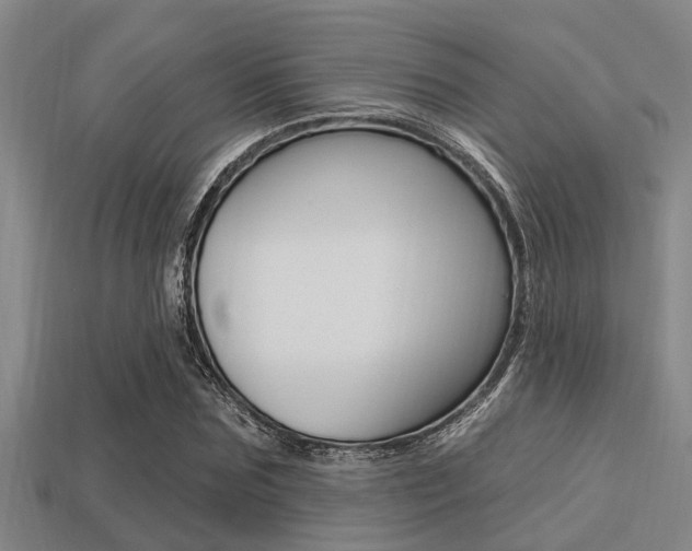 X0000113300875200909140943